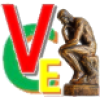 VCE Vorster Consulting and Enterprises Logo